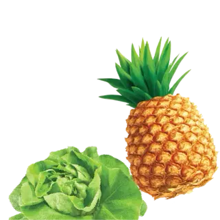 Tipti